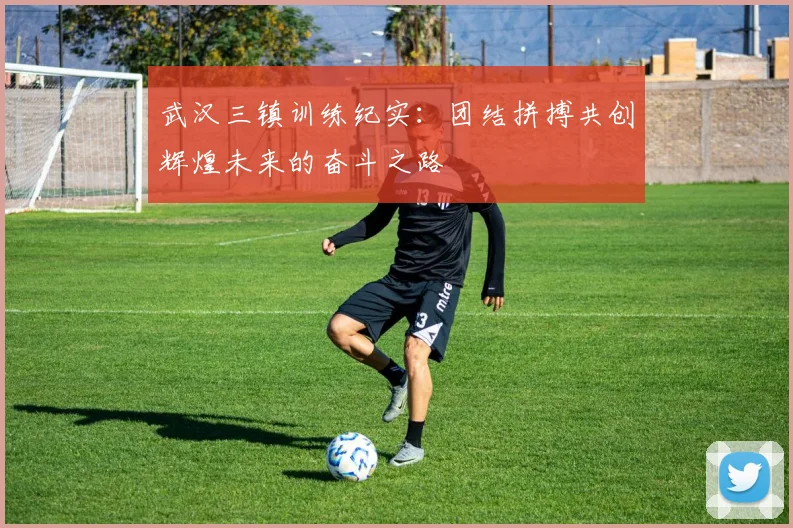 武汉三镇训练纪实：团结拼搏共创辉煌未来的奋斗之路